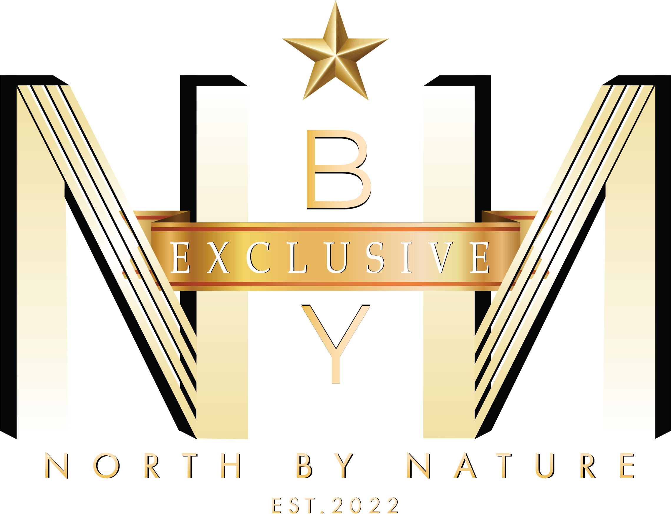 Exclusive Logo